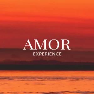 Amor Experience