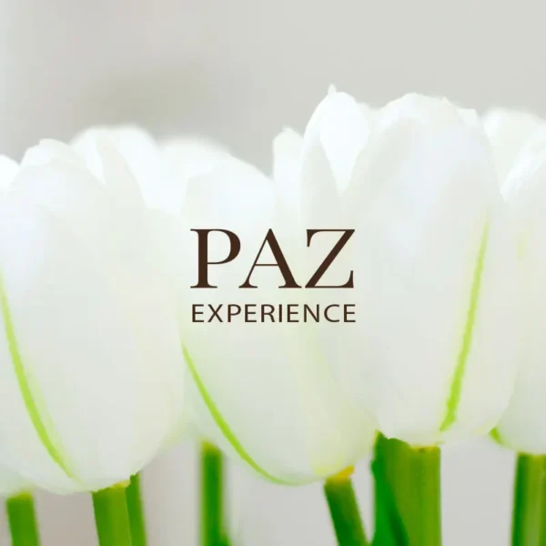 Paz Experience